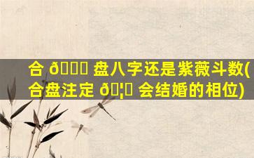 合 🍀 盘八字还是紫薇斗数(合盘注定 🦁 会结婚的相位)